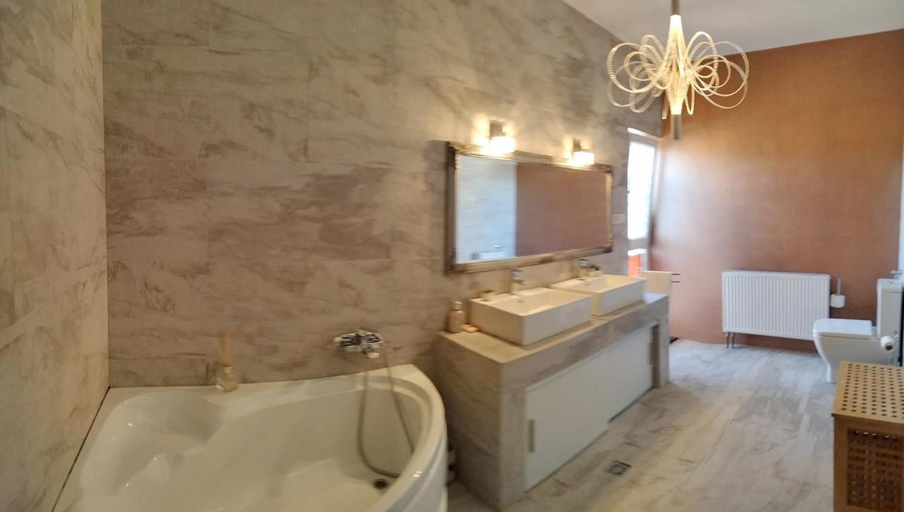 Apartament De Lux Cu Terasa Appartement Timişoara Buitenkant foto